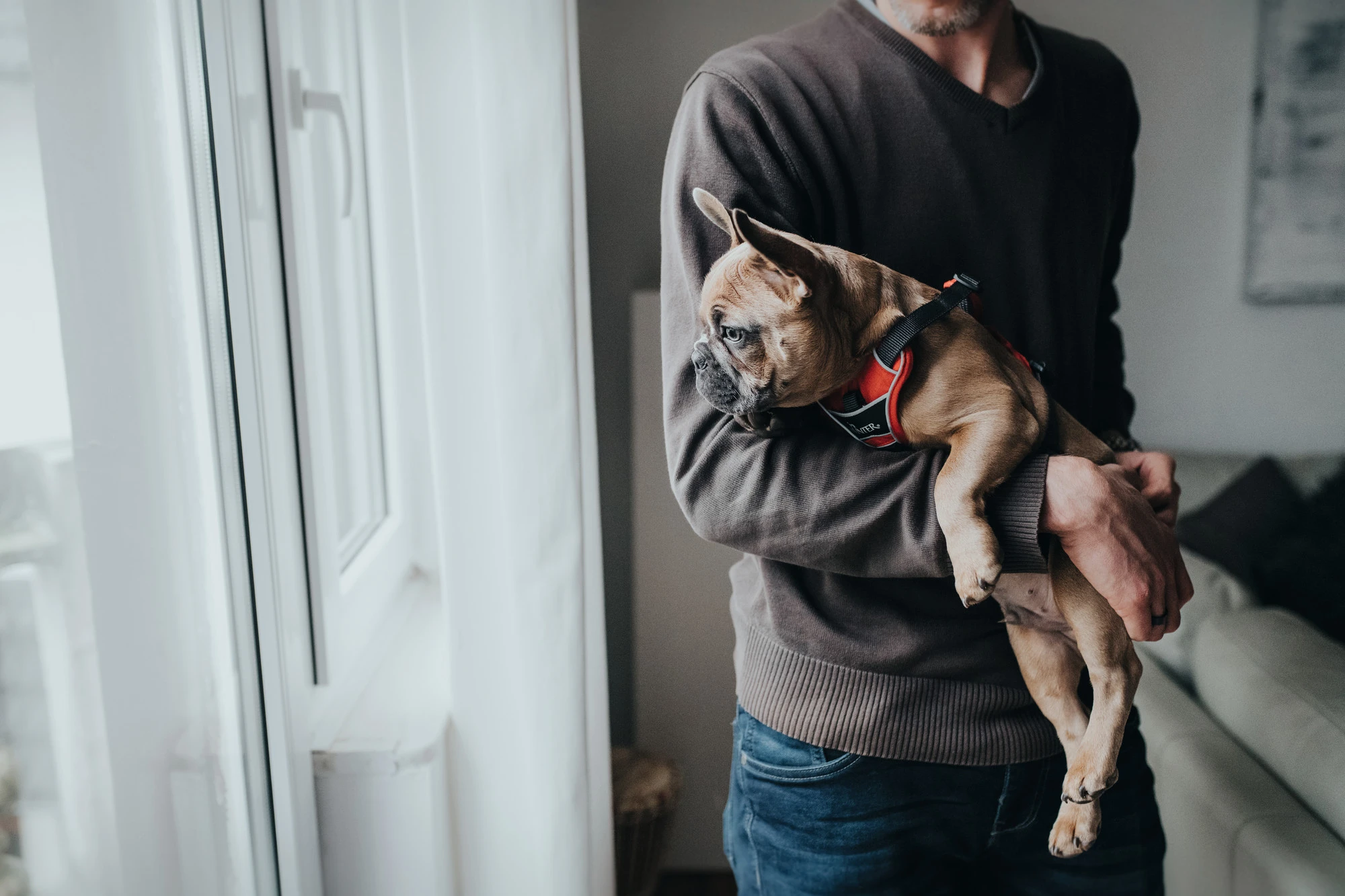 Hunter Divo hundesele S-M rød/grå just mave 52-68 cm - Fleksibel støtte til aktive ture